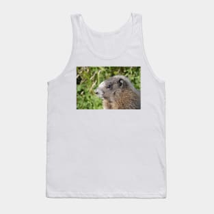 Young hoary marmot Tank Top